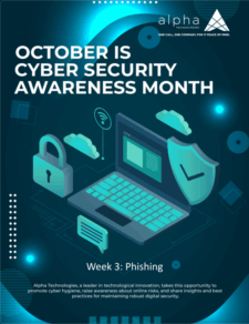 Alpha Innovations | Network Segmentation